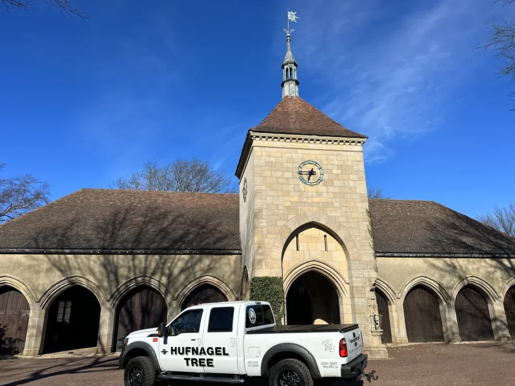 Hufnagel Tree Service
