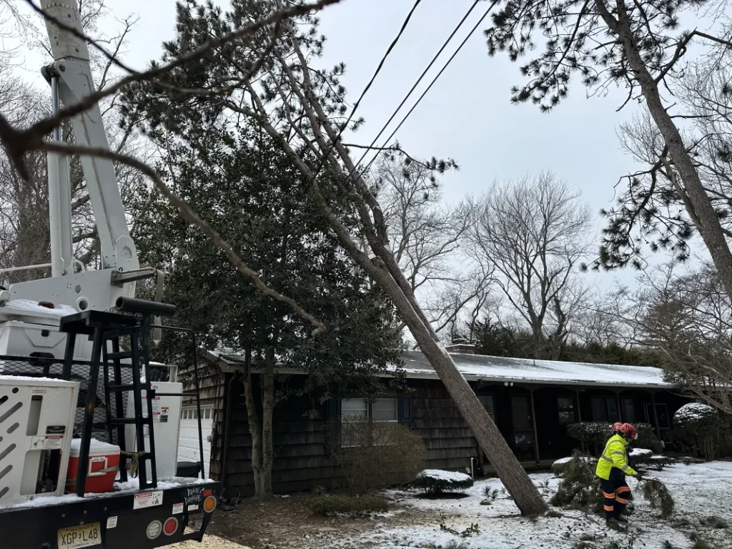 Middletown Tree Storm Repair