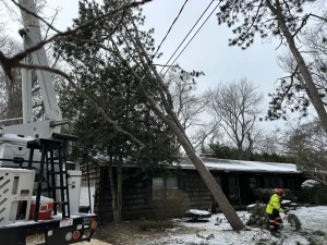Middletown Tree Storm Repair
