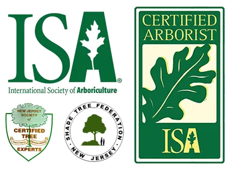 ISA Certified Arborist in Middletown NJ