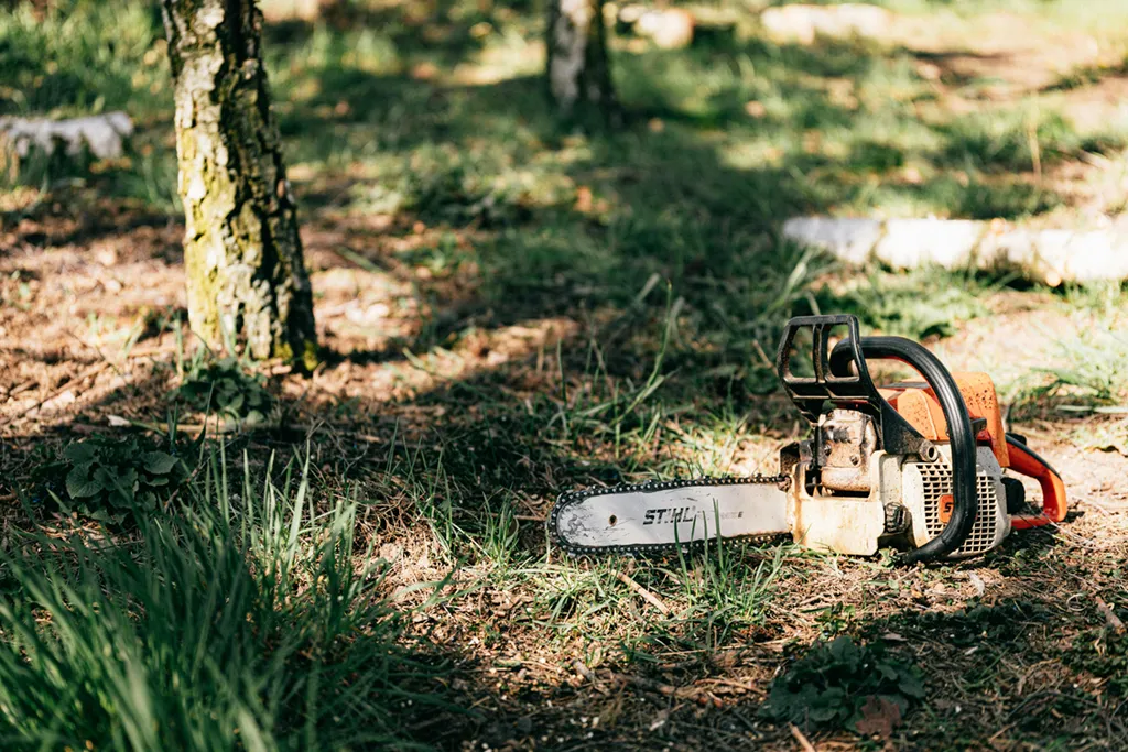 Chainsaw Next To Old Tree