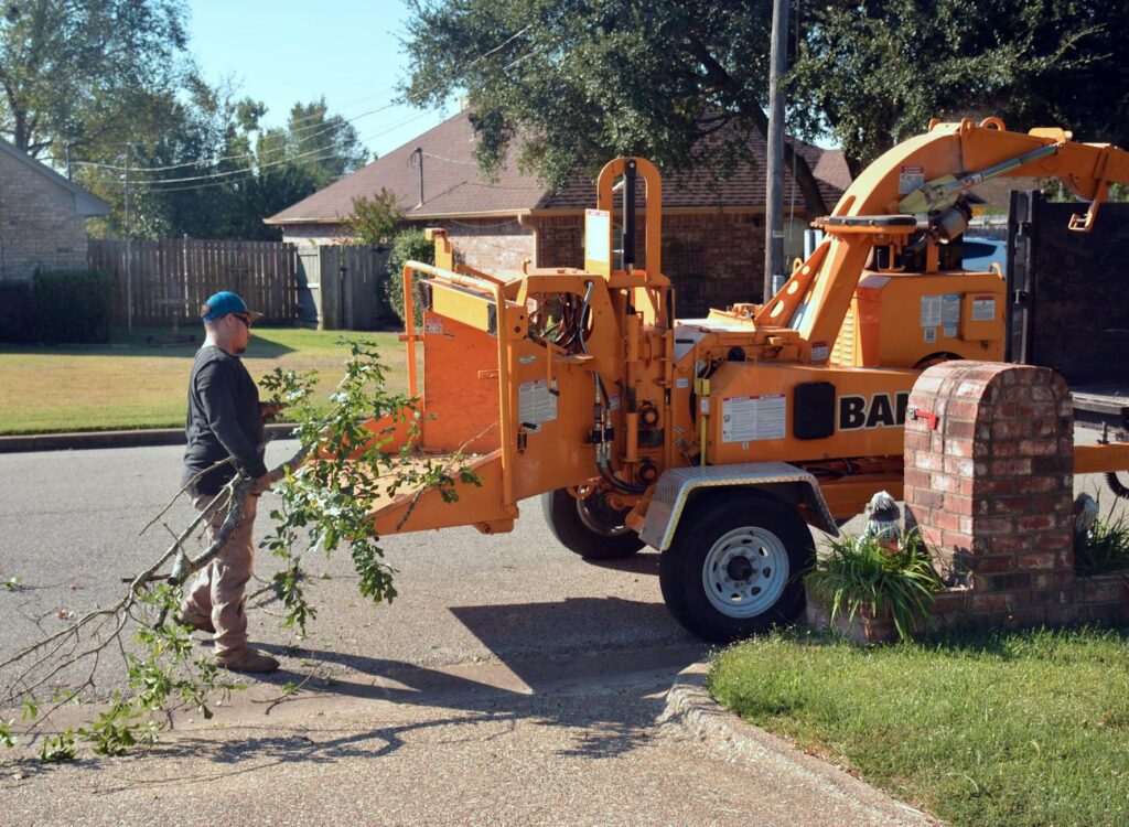 Professional tree removal crew safely taking down a large hazardous tree near a residential home