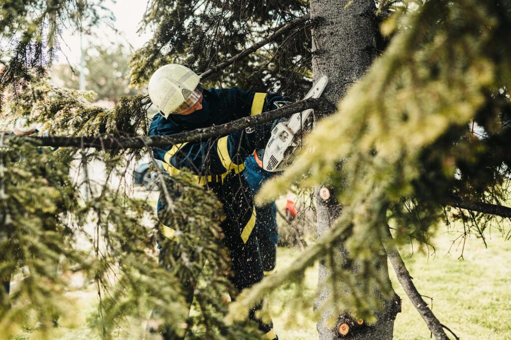 A certified arborist evaluating a dead tree's lean and potential fall zone