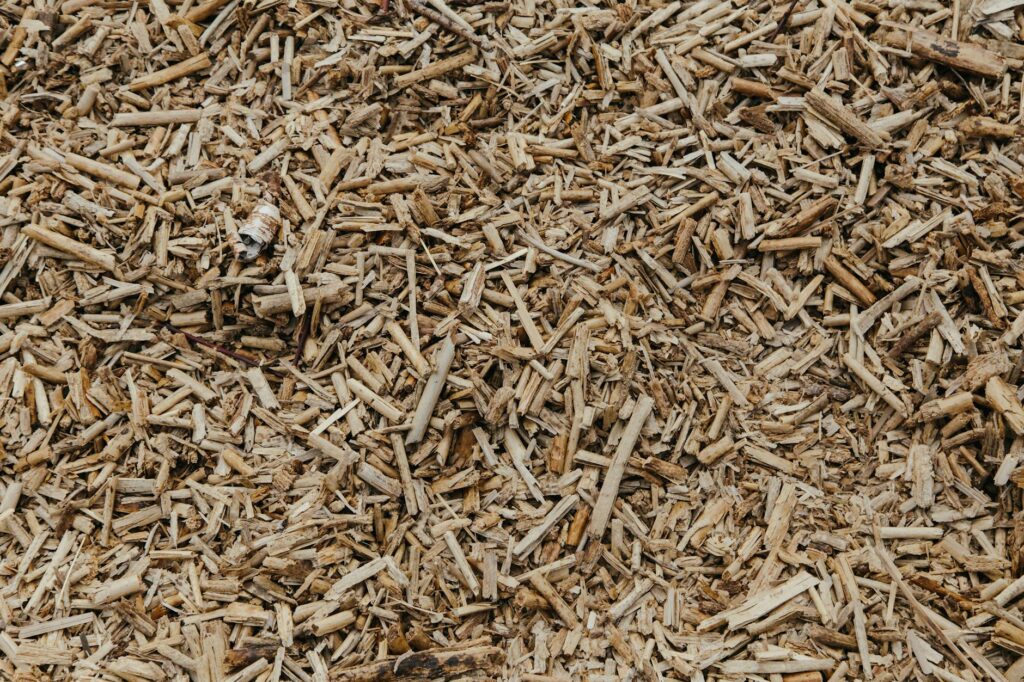 Proper wood chip mulch application around a tree base in a sandy soil landscape