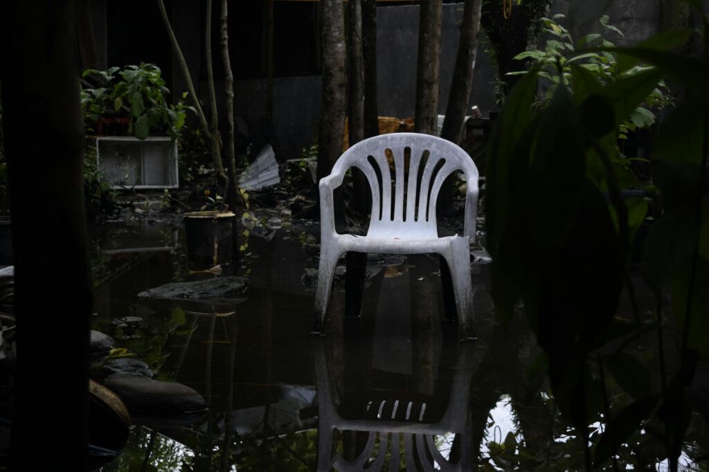 Standing water around the base of a large tree in a backyard after spring rainfall in New Jersey