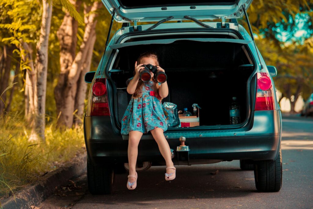 Person using binoculars to inspect a tree branch union and bark condition from the ground