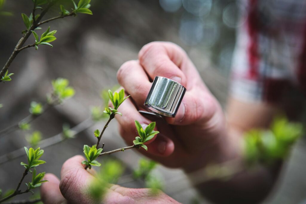 Arborist closely examining oak leaves for signs of nutrient deficiency or disease in a residential yard