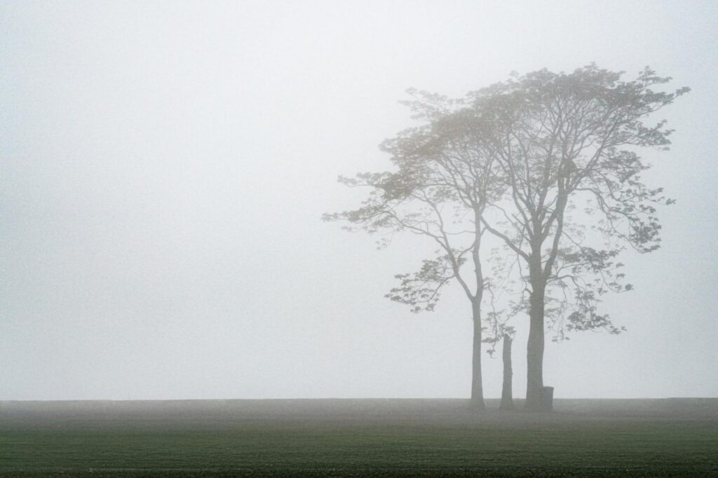 Morning fog rolling over coastal New Jersey landscape near Raritan Bay in spring