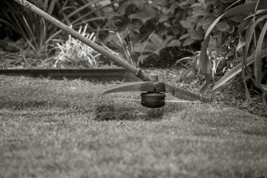 String trimmer being used near the base of a tree, showing the risk of bark damage