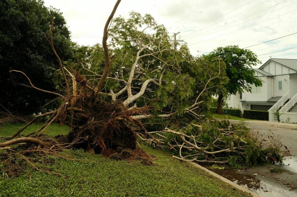 A dead leaning tree posing a hazard near a suburban house