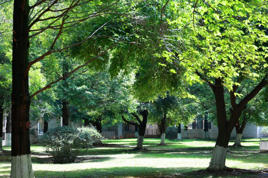 Certified arborist completing a written tree health assessment under a mature shade tree in a Middletown New Jersey backyard