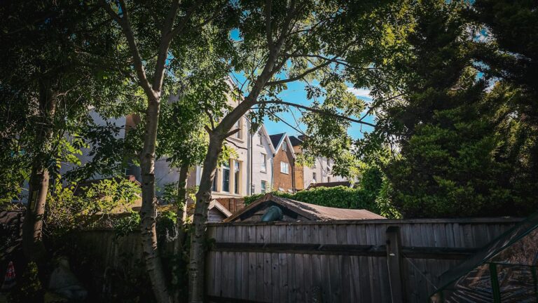 Large dead tree limb hanging directly over the roof of a suburban home