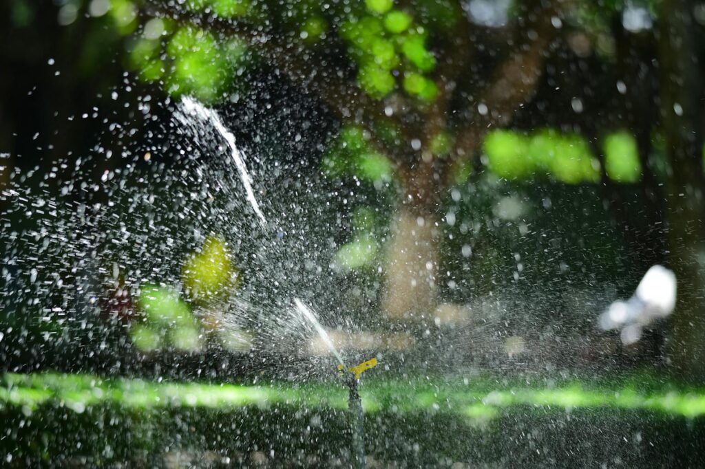 Lawn sprinkler heads watering grass in a suburban yard — effective for turf but inadequate for tree roots