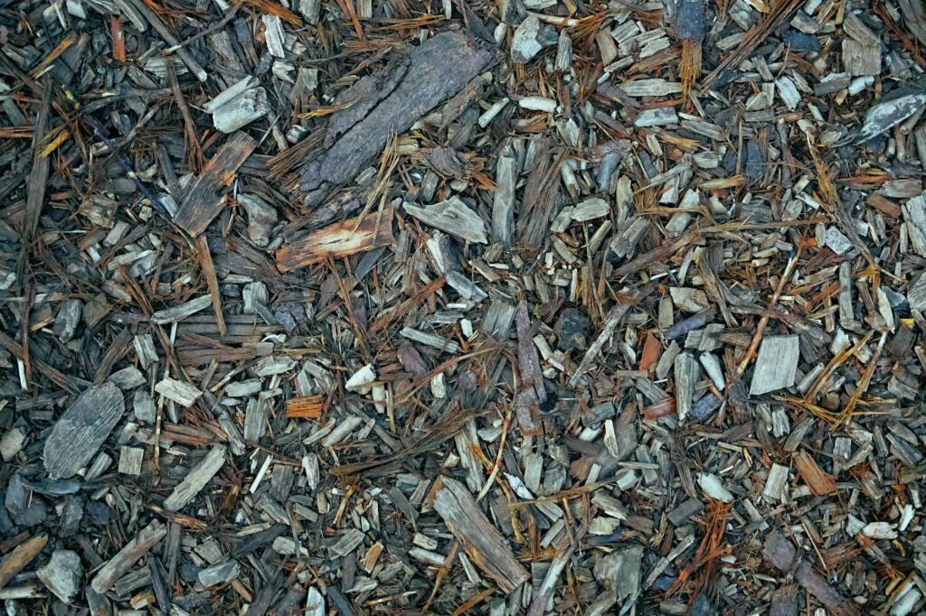 Excessive mulch piled against tree trunk base creating a mulch volcano in a residential landscape