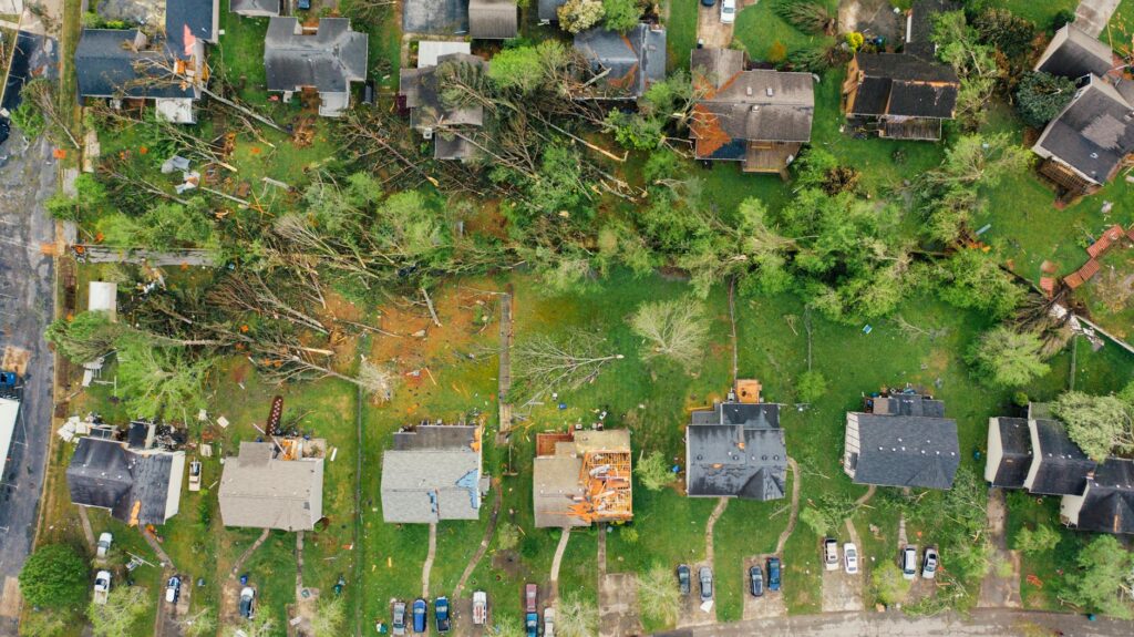 A neighborhood street with a large tree split by a summer thunderstorm