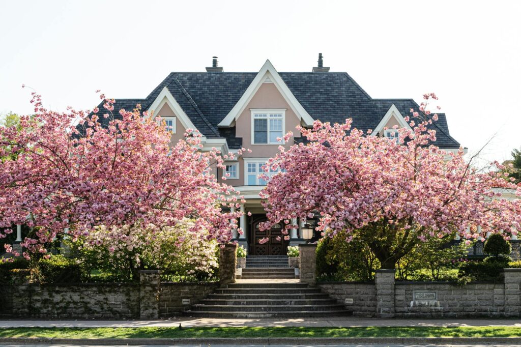 Healthy ornamental trees and shrubs in a well-maintained Middletown NJ residential landscape in spring