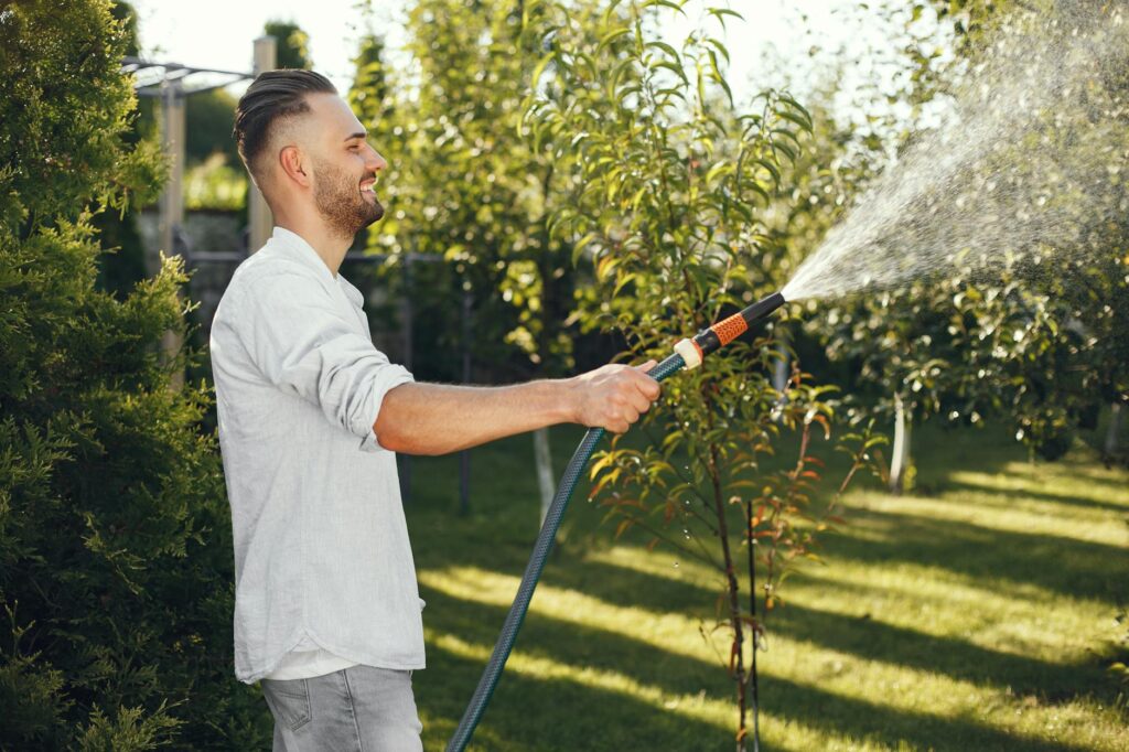 Homeowner using a garden hose to slowly deep-water a large shade tree in a suburban yard