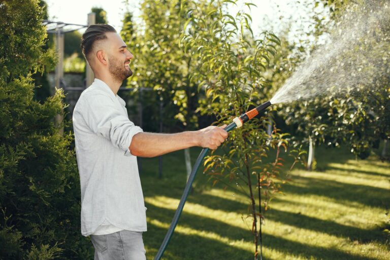 Homeowner using a garden hose to slowly deep-water a large shade tree in a suburban yard