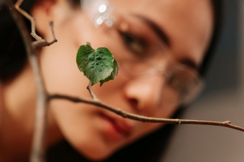 Arborist closely inspecting tree leaves for signs of drought stress and marginal scorch