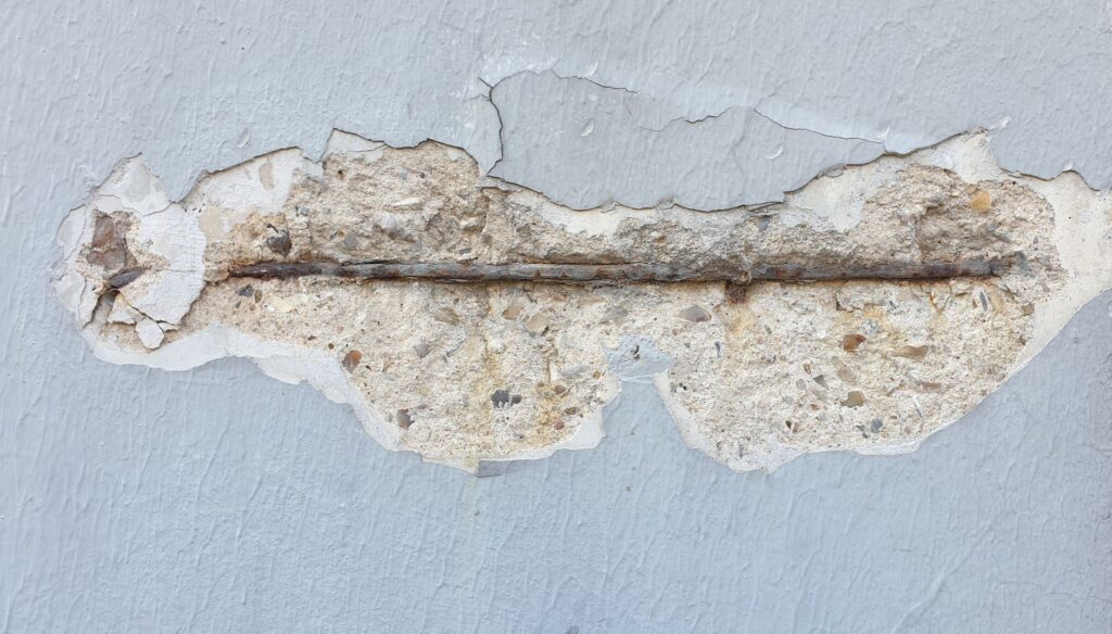 Closeup of a tree trunk showing bark cracks and structural damage
