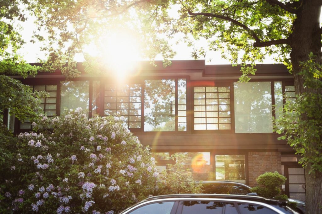 A large deciduous shade tree on the west side of a suburban house blocking afternoon summer sun