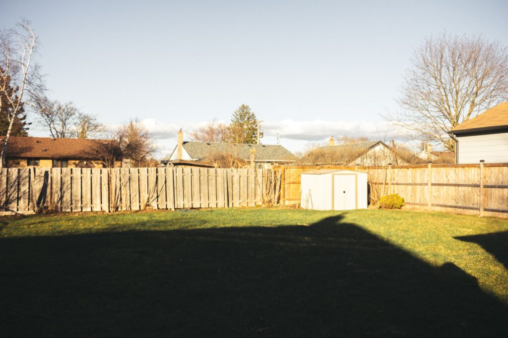 Large tree overhanging a property line fence between two suburban yards