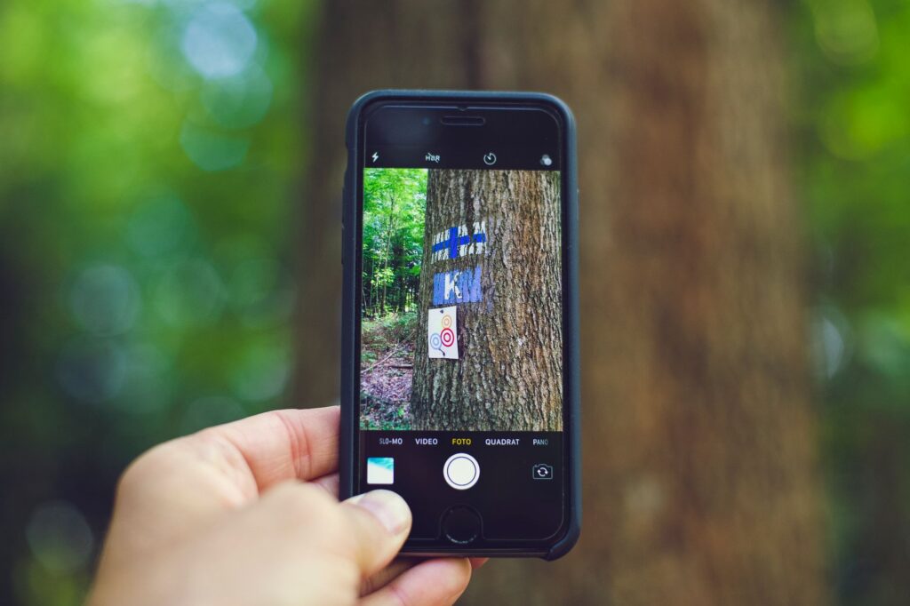 Homeowner documenting a large backyard tree with a smartphone before storm season