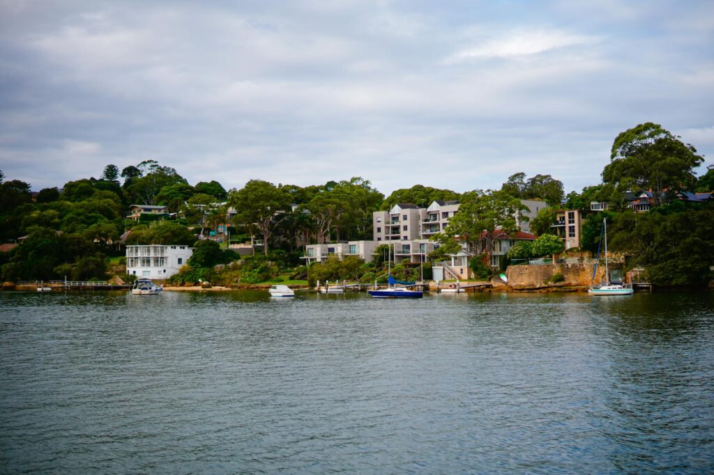 Trees growing on a coastal waterfront property near Raritan Bay