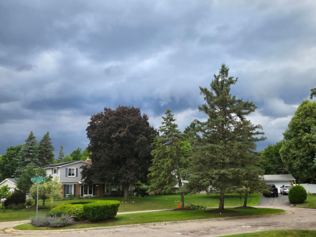 Storm clouds building over a suburban backyard with tall trees