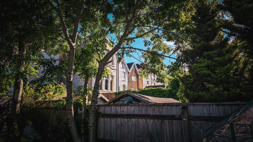 A shaded suburban backyard in summer with large trees providing cool shade over a patio