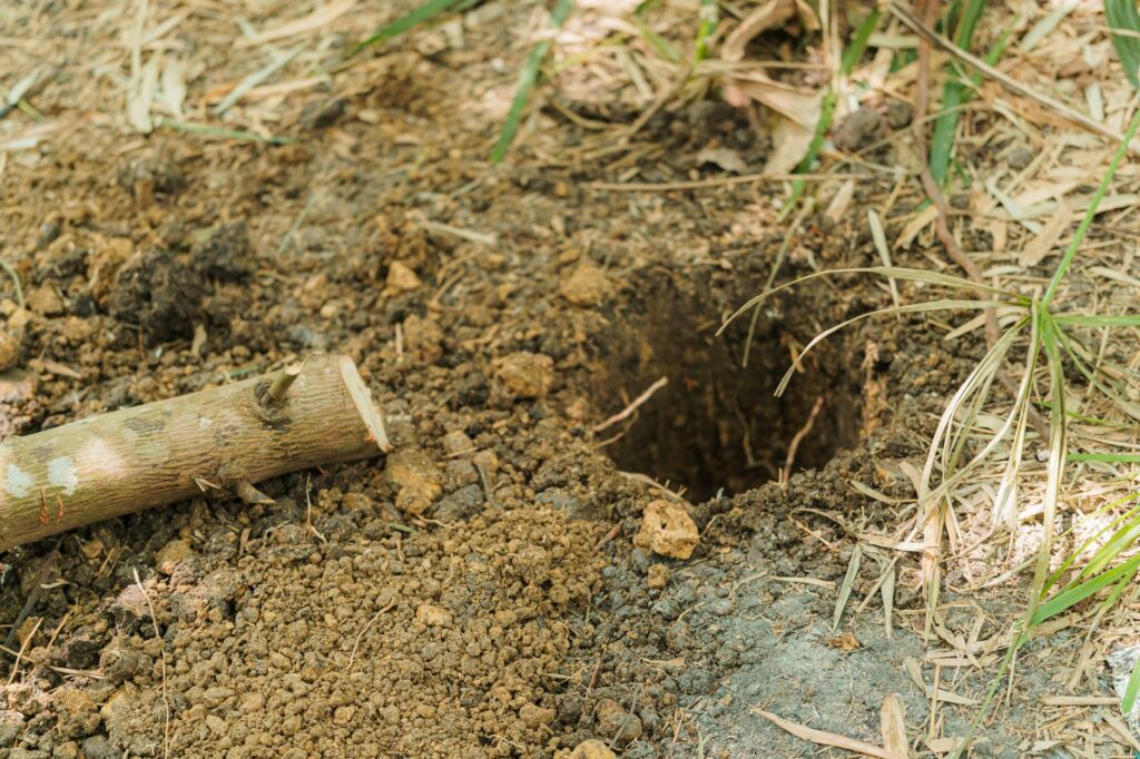 Homeowner digging a planting hole for a new tree in a suburban Middletown yard