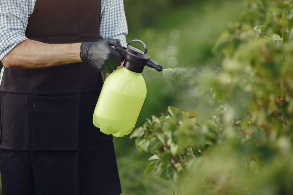 Homeowner using a handheld sprayer on weeds along a garden bed near a large tree