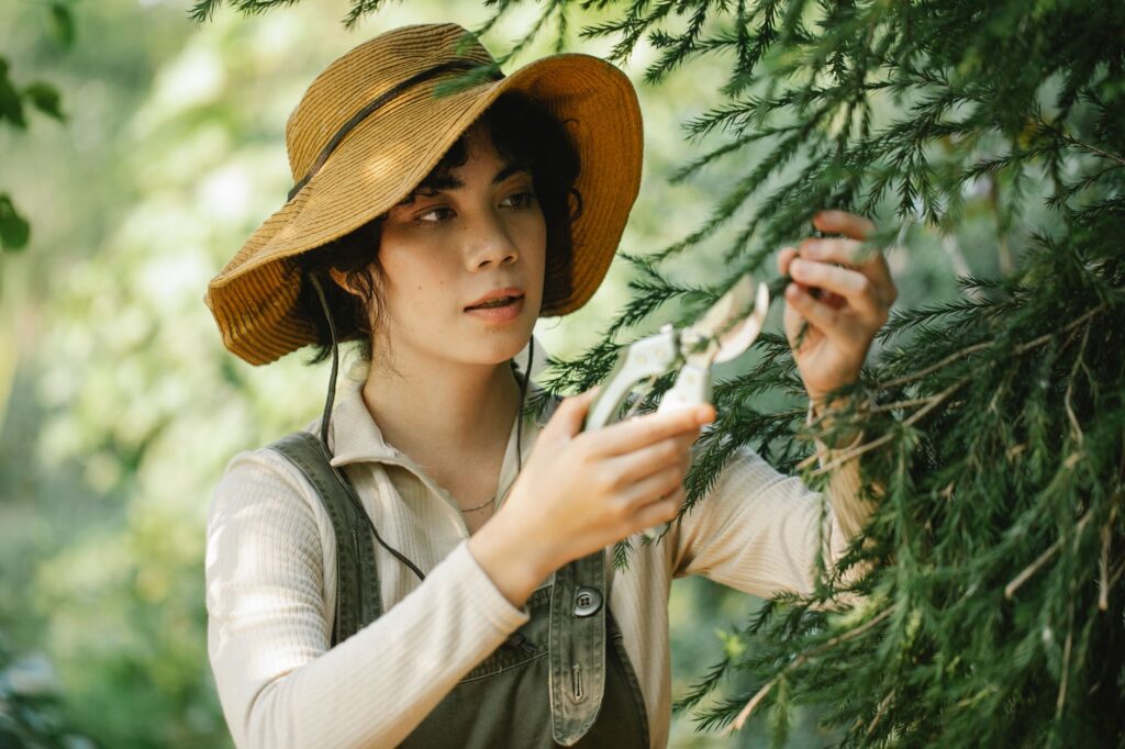 Homeowner preparing to prune a branch from a backyard shade tree in summer