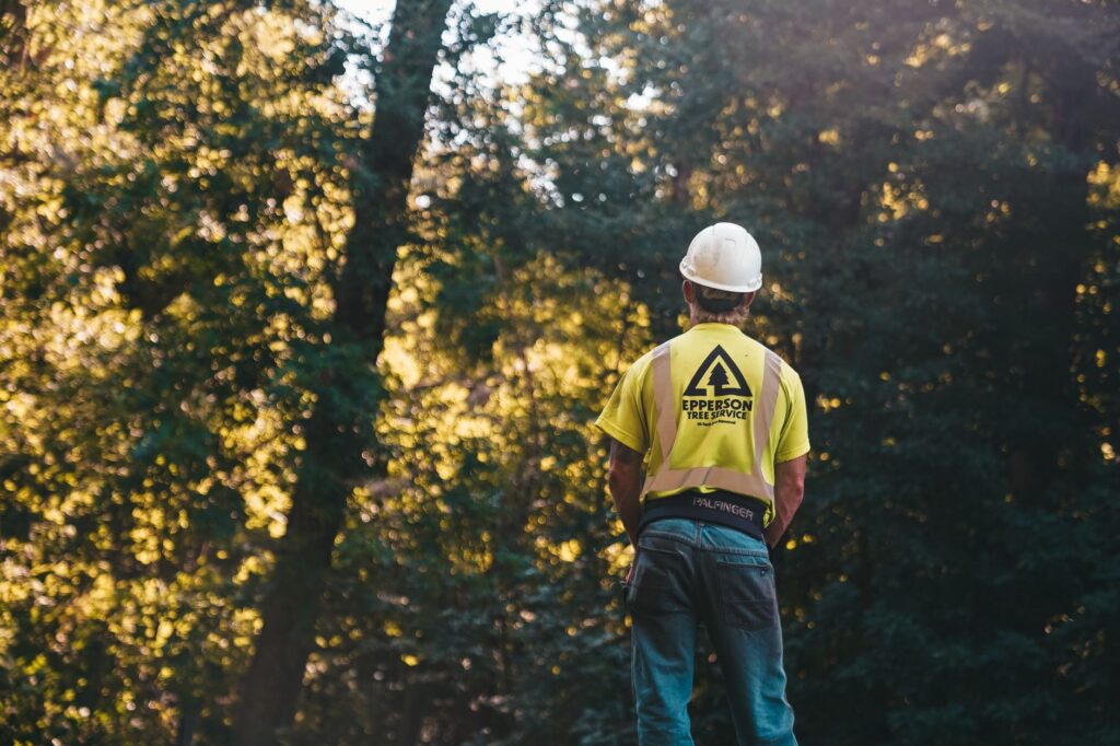 Certified arborist consulting with a homeowner about tree site selection in a residential backyard