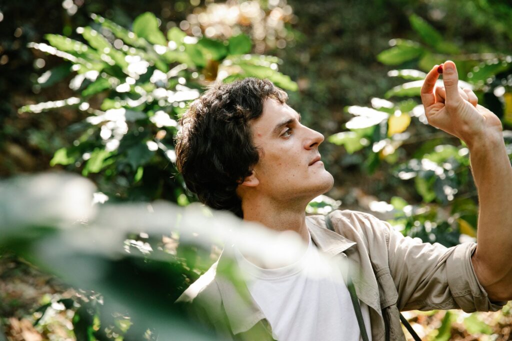 Homeowner examining tree leaves for stress or disease signs in a backyard