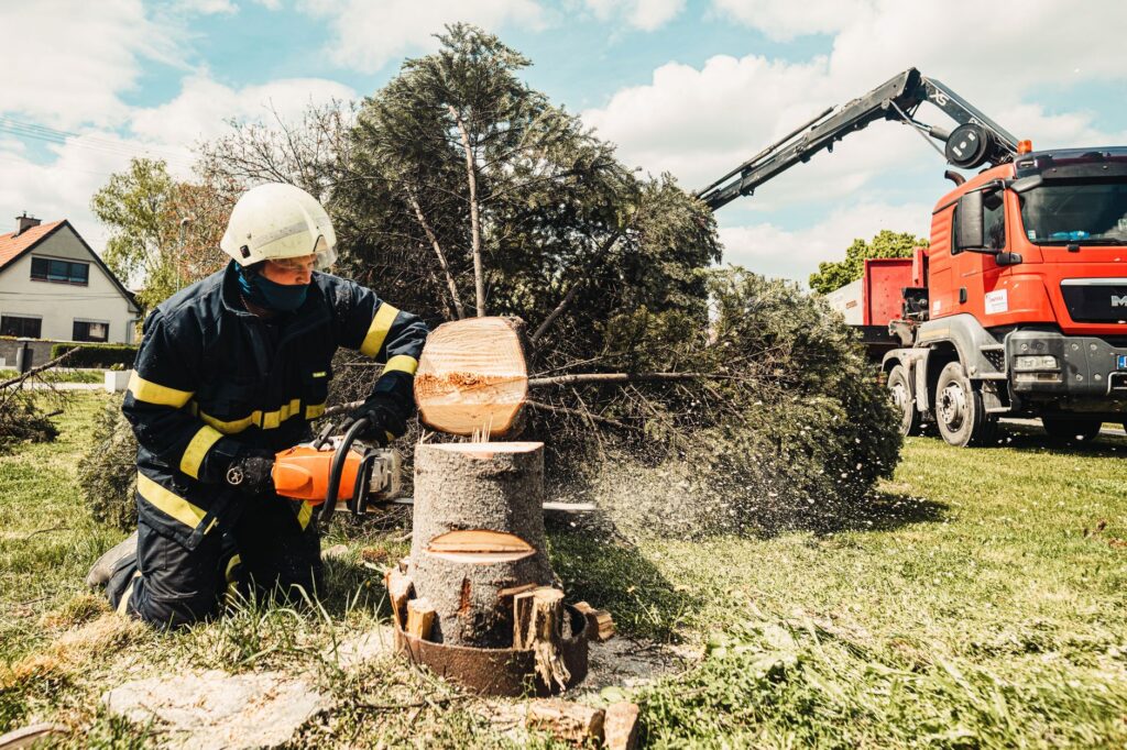 Tree service crew using a bucket truck to remove a large limb