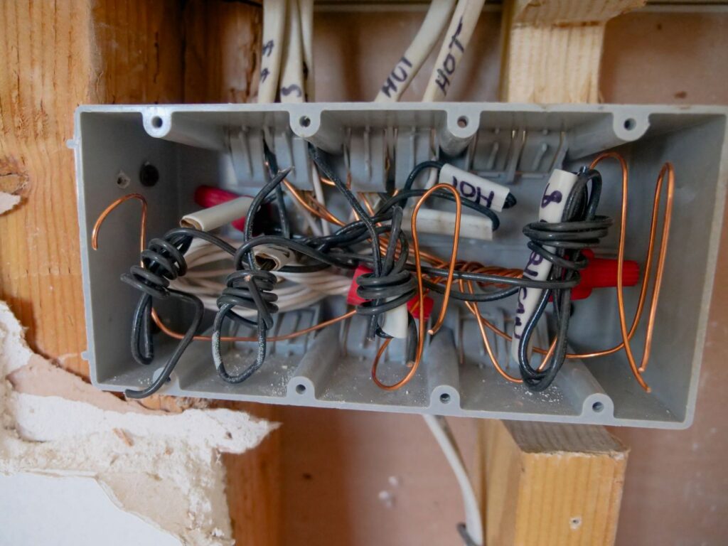 Copper cable lightning protection system installed on a large tree