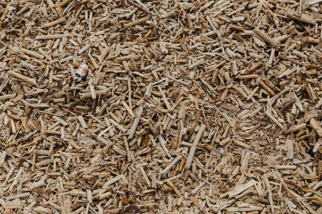 Person spreading wood chip mulch in a wide ring around the base of a shade tree
