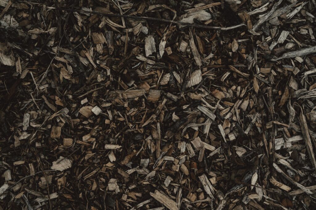 Mulch piled too high against a tree trunk in a common landscaping mistake known as a mulch volcano