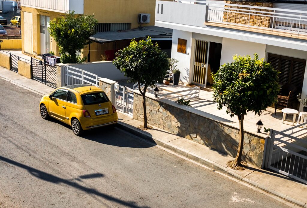 A young tree planted along a sun-baked suburban driveway