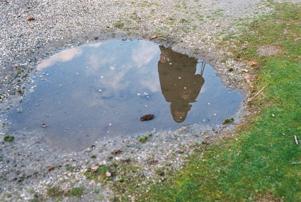A homeowner checking how quickly water drains from their yard near a shaded tree line after a storm