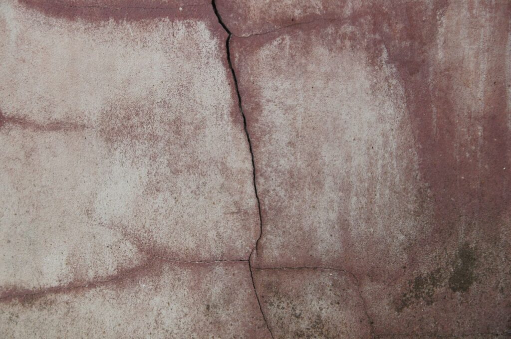 A mature tree planted too close to a home's foundation with visible root and siding contact