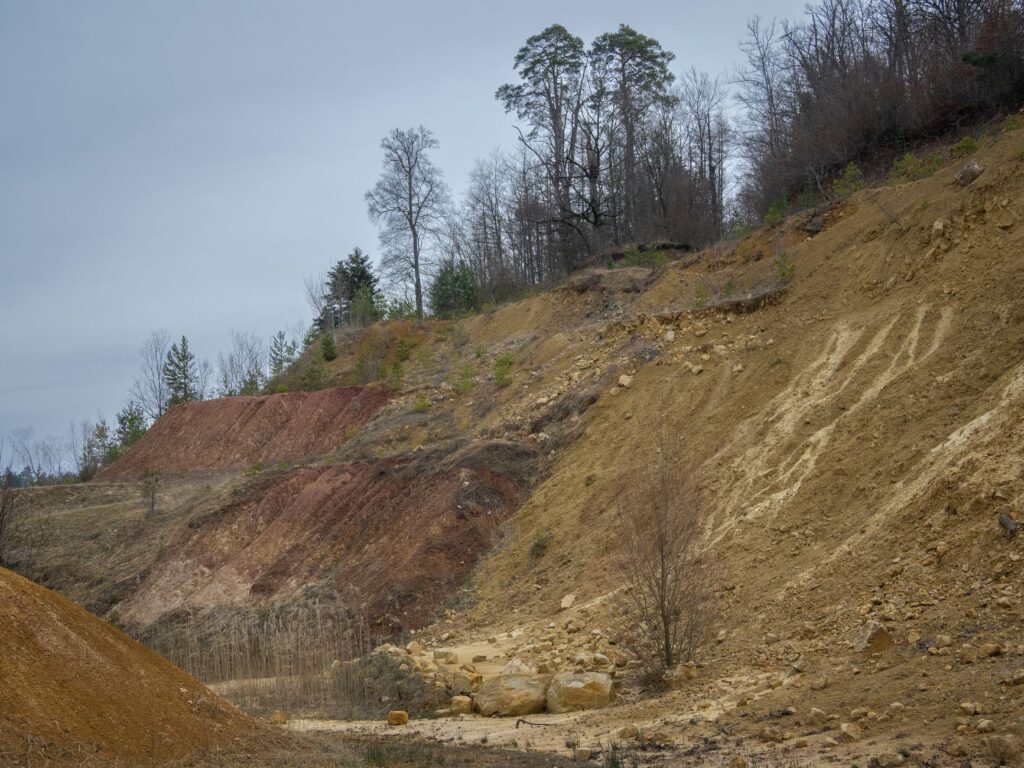Soil profile showing clay-loam layers characteristic of coastal New Jersey