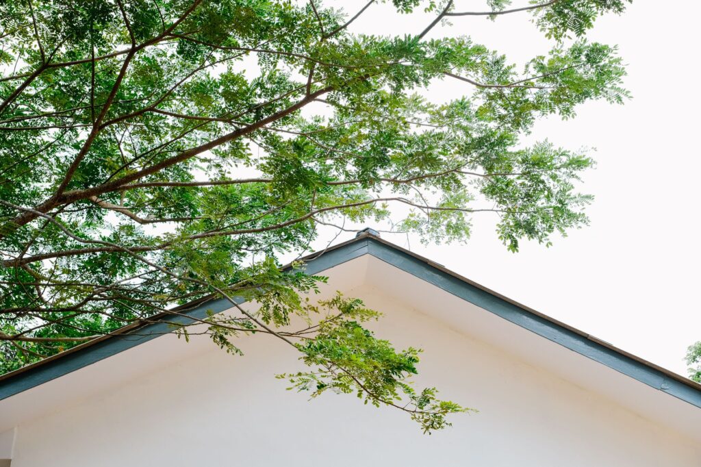 Large tree limb extending directly over a residential rooftop