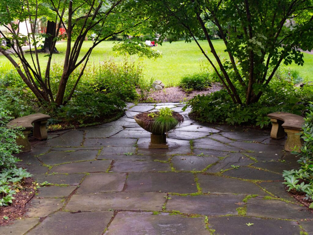 Cracked patio pavers caused by settling soil above old decaying tree roots