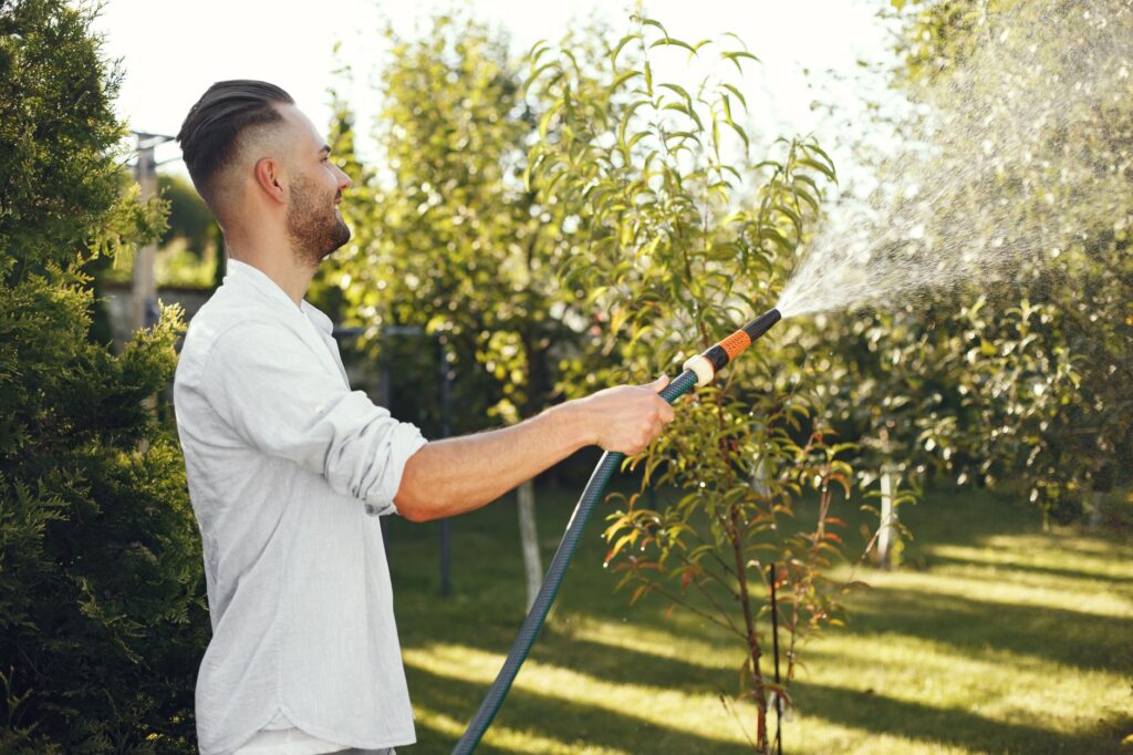 Soaker hose delivering slow deep watering to the root zone of a mature shade tree in summer