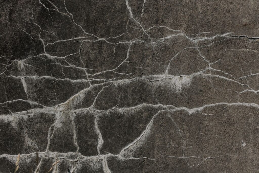 Hairline crack in a home foundation wall near a large shade tree