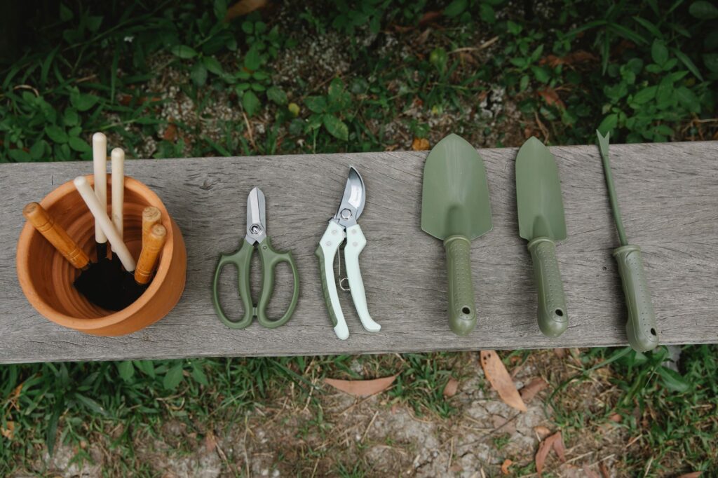 A pair of hand pruners and loppers laid out on grass, ready for tree pruning work