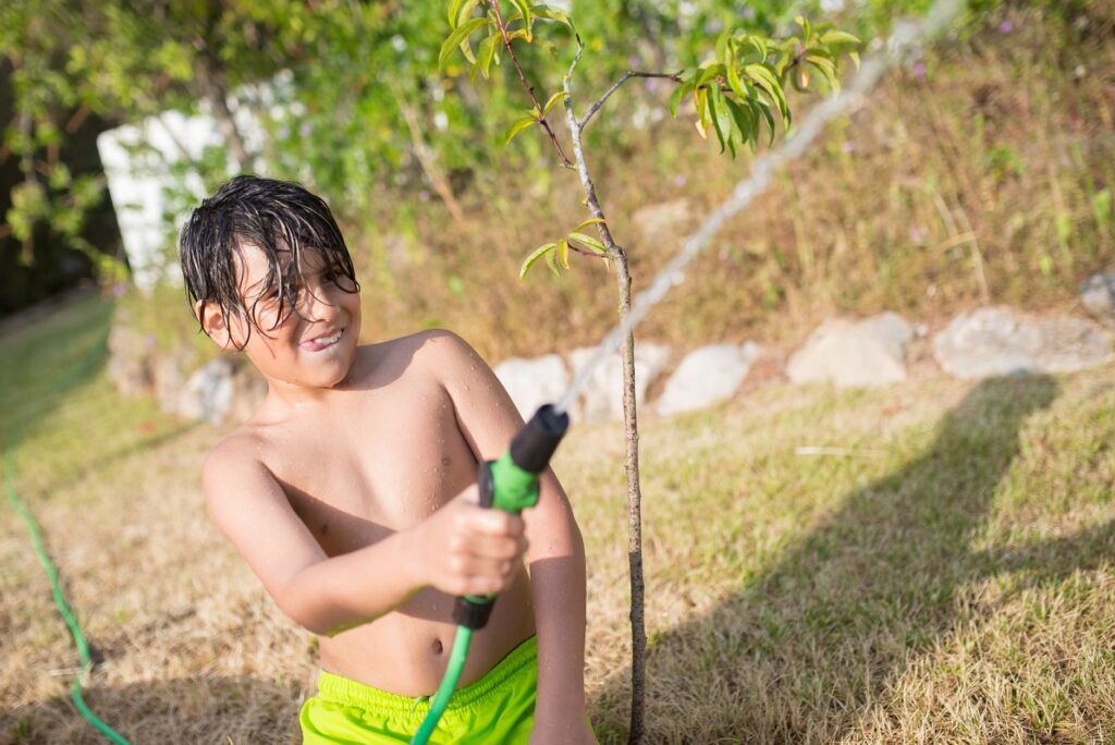 Slow, deep watering being applied to the root zone of a young stressed tree