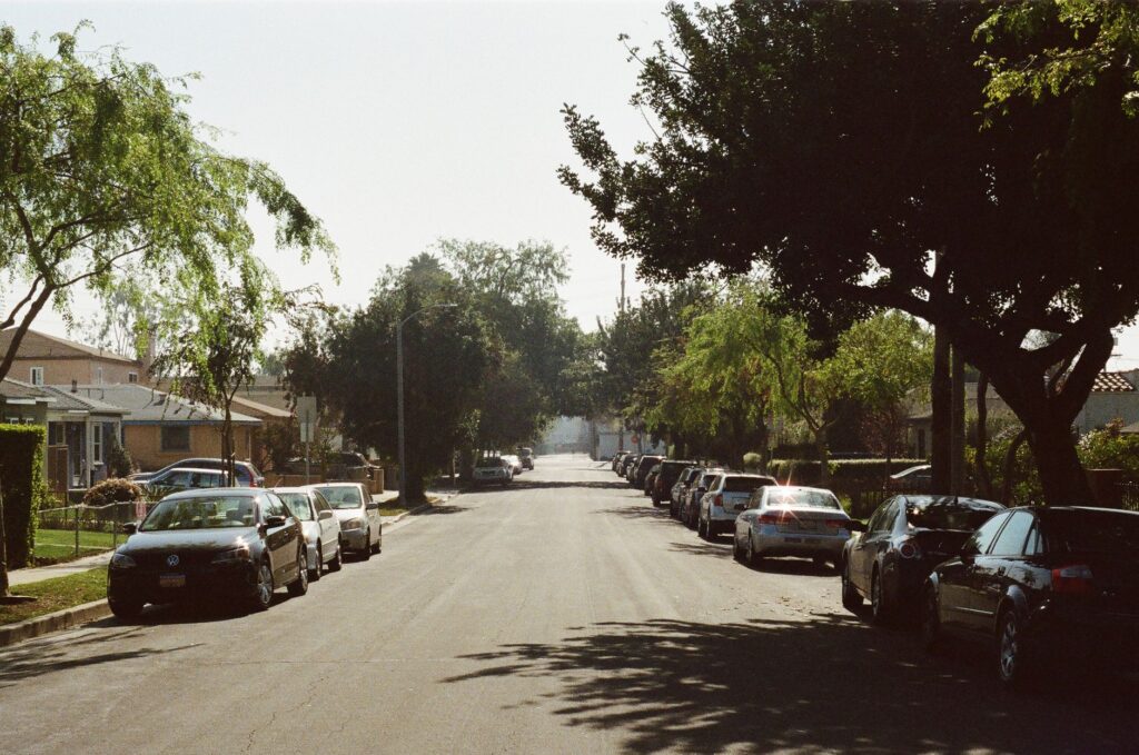 A quiet residential street lined with mature shade trees